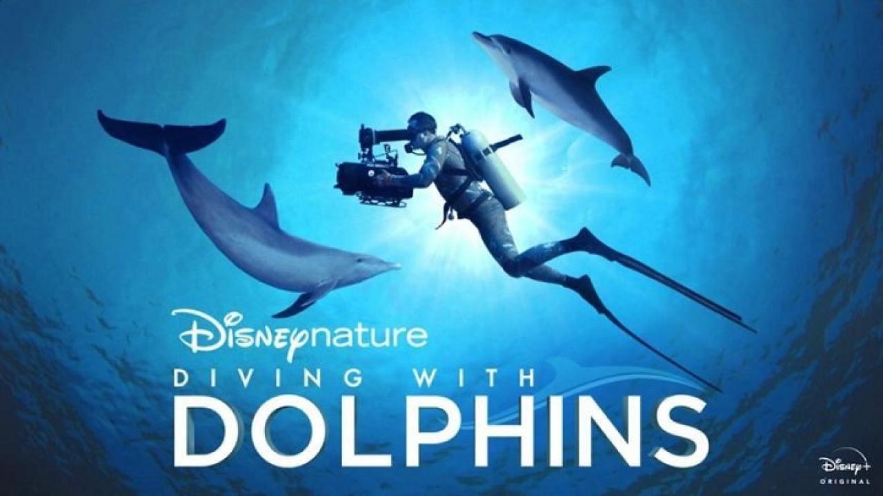 فيلم Diving With Dolphins 2020 مترجم كامل HD