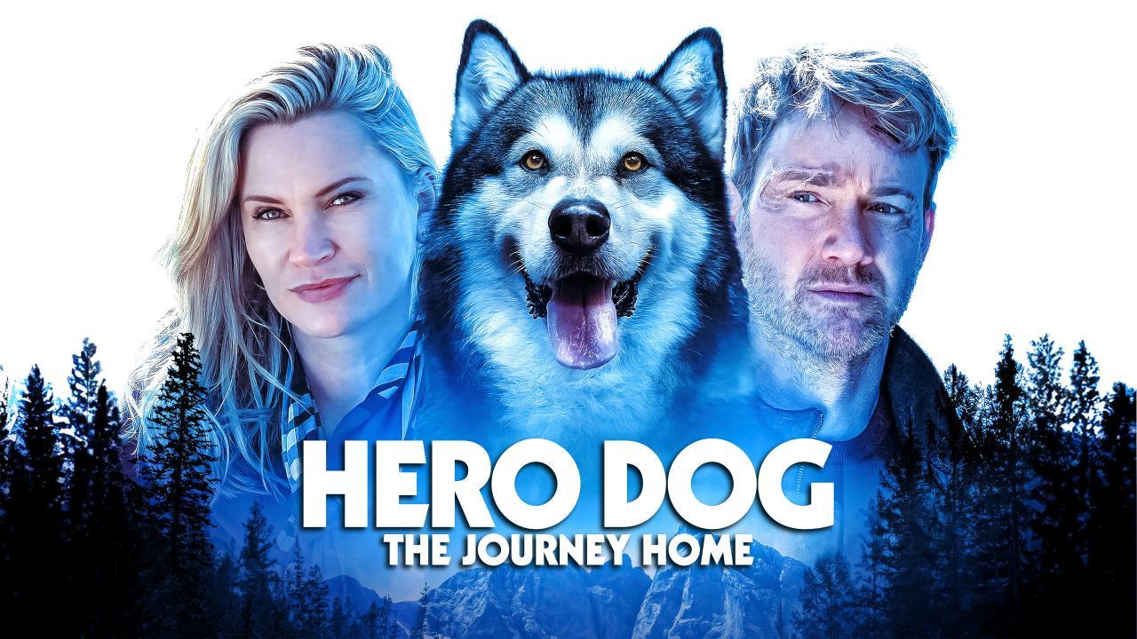 فيلم Hero Dog: The Journey Home 2021 مترجم كامل ماي سيما