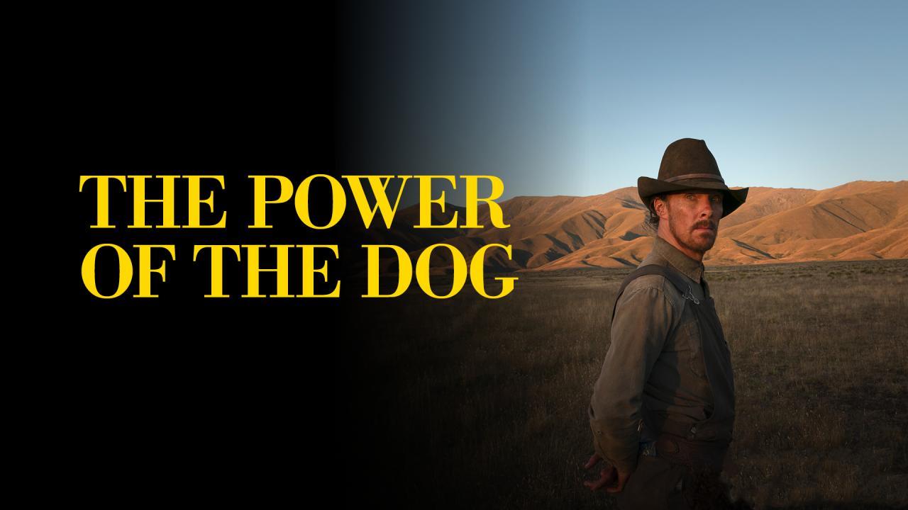 فيلم The Power Of The Dog 2021 مترجم كامل ماي سيما