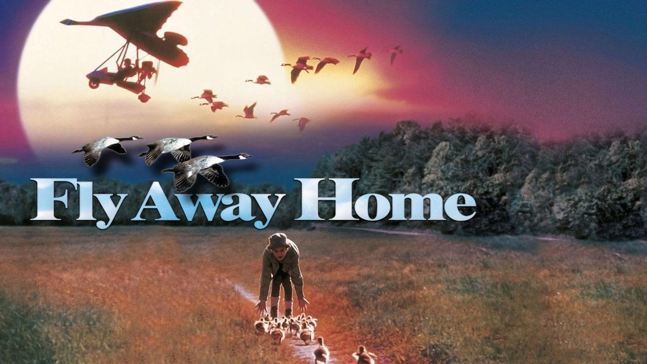 فيلم Fly Away Home 1996 مترجم كامل HD