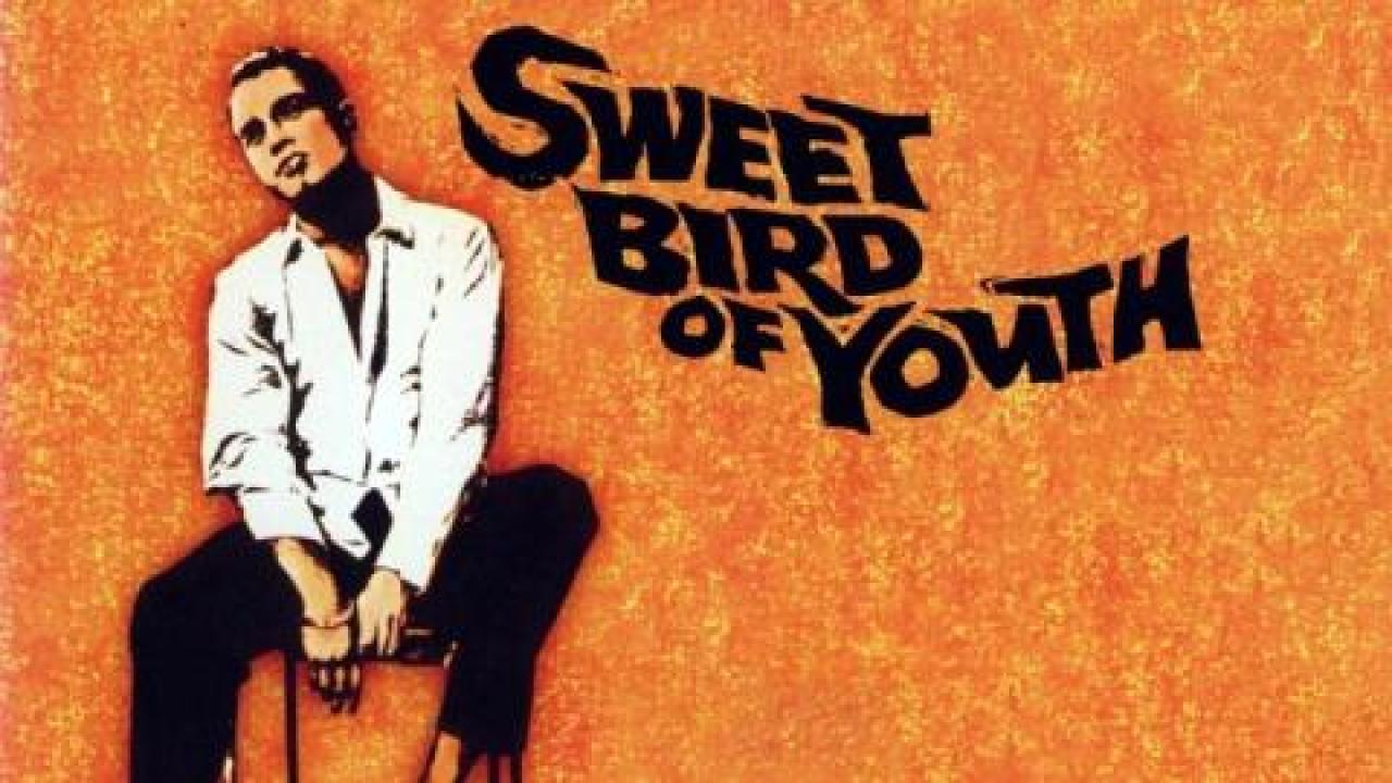 فيلم Sweet Bird Of Youth 1962 مترجم كامل HD