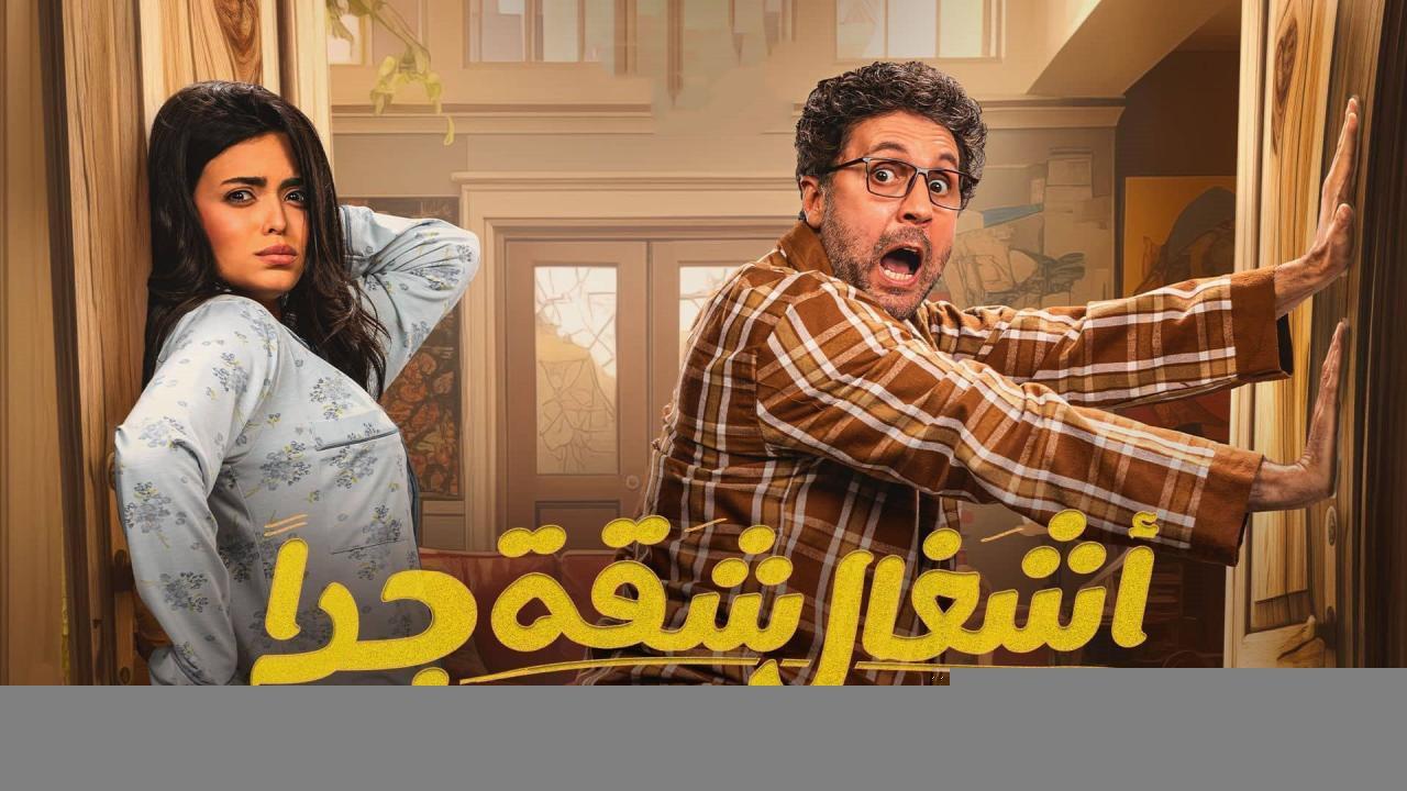 مسلسل أشغال شقة 2