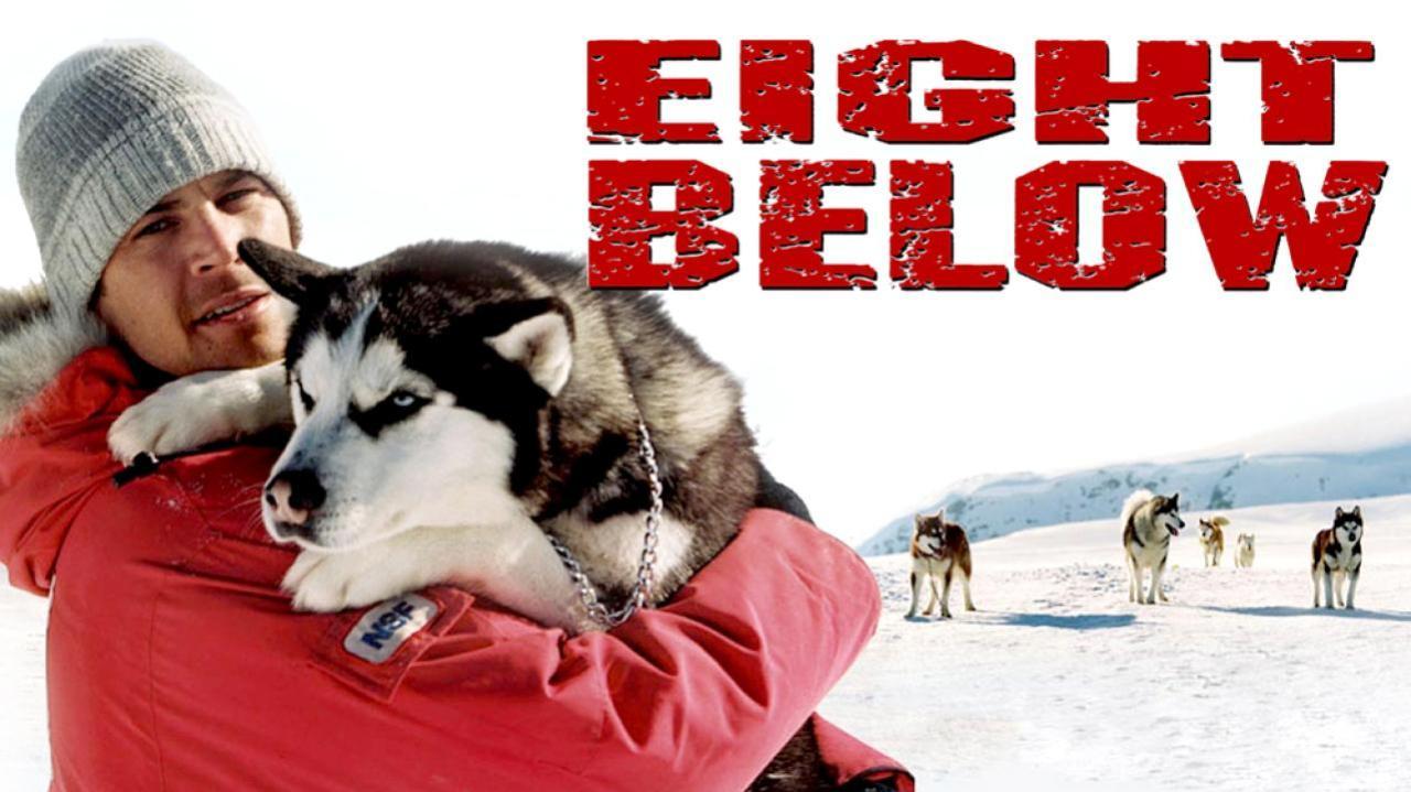 فيلم Eight Below 2006 مترجم كامل ماي سيما